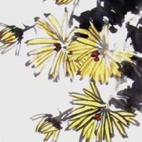 2022年惊蛰节气气温多少度 气温还冷养生需注意