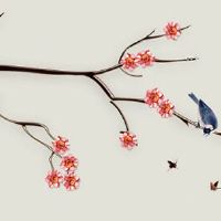 属虎男的最佳婚配表 肖虎男与肖狗女互相扶持