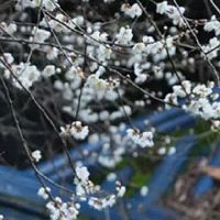 房子户型风水图解方位 房屋不缺角风水稳定