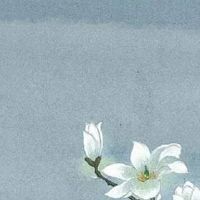 为什么说属鸡的女人不能娶 生肖鸡女最佳婚配