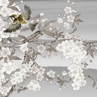 有财运的面相十大特征 眼形细长且向上延伸