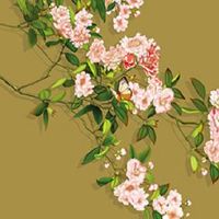 男人越老越穷的面相 下巴尖小容易孤独终老