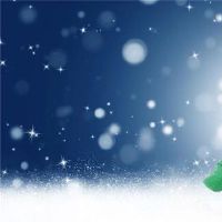 雪的标志是什么?