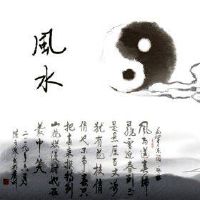 办公桌绿色摇滚发烧场所禁忌可以放置2壶