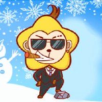 猴子出生在几个月内省钱。