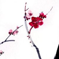 属鼠女的最佳婚配对象 肖鼠女与龙男幸福美满