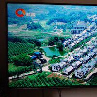 【内幕体验曝光】tcl65A860和880哪个好?功能怎么样?入手理由就是这么简单!