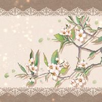 2022淘宝店女装名称商店名称小技能