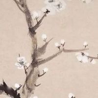 农业营业执照名字大全 最热门店铺起名大全集