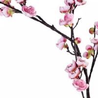 有本事的男人面相特征 眼睛细长且眼神敏锐