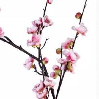 一字眉的人命运怎么样 个性坚韧特别正直