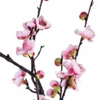 男人的十种穷苦面相 鼻孔朝天容易破财