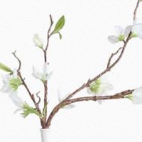 有钱女人的面相特点 鼻头丰满婚姻幸福财运不断