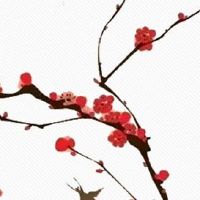 注定有福气有钱的女人面相 下巴饱满有肉生活富有