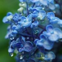 出生在老虎的男孩的名字是什么,被禁止了什么