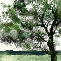 八字无财藏干有财 随具体八字而论