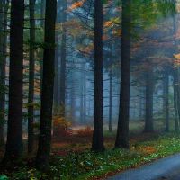 Kimmu水和土壤五个元素