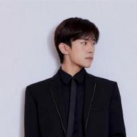 四个主要血液阶段的弱点是什么?