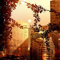 淘宝是一个壁纸商店名称大全未经授权没有假