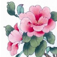 有旺夫相的女人面相 下巴圆润属于享福型面相