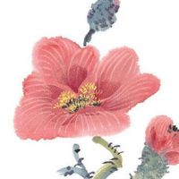 男人穷酸面相的十大特征 女命胡须过硬克夫之命