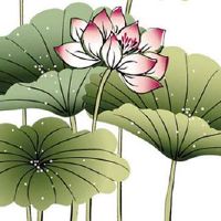 中年亿万富翁的手相 智慧线延伸到水星丘