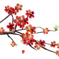 85属牛配86属虎 这两者配对性格以及运势分析