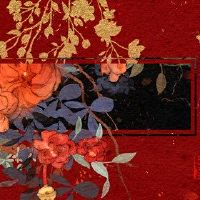 为什么婚姻珍稀蛇兔蛇和一只兔子?