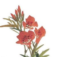 直断短命的日柱 4个短命日柱是什么