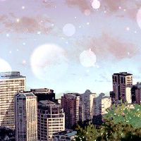 名为Mutton Store Name完整工作代表名称