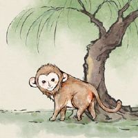 2022年真正被爱的十二生肖人是温柔的属