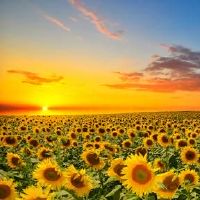 2019年11月出生的男孩的名字是好名字的,禁用了哪个词