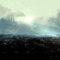 旧的黄色日历是老虎的分支,2022年,那天买了一辆车,最美丽的