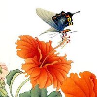 嫁得好的女人面相 田宅宫饱满人缘好