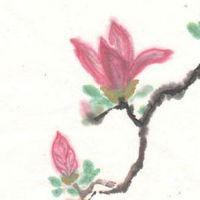 穷相的男人面相特征 招风耳晚年无产业