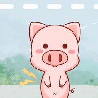 83年的猪财运在哪个方位 正南方发展属虎为事业贵人