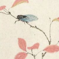 2022年惊蛰出生的虎宝宝好不好 五行属火有贵人助