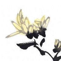 女人耳朵小的人命运 耳朵小的女人没福气吗