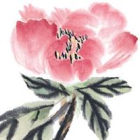 哪种眉毛福气好 长寿眉福气大晚年过得好