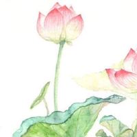 婚姻线有几条才是好的 婚姻线长嫁得早短嫁得晚