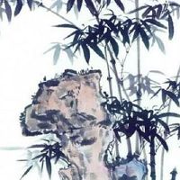 婚姻线有两条平行线代表什么 一长一短且平行的婚姻线