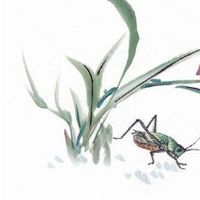 八字看偏财:怎么知道自己有无偏财