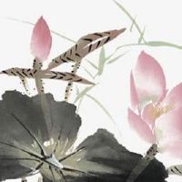 女人右手有两条婚姻线 女人手相婚姻线分析