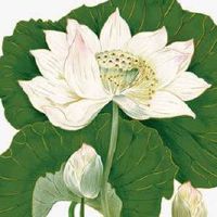 3条婚姻线上下长中间短 三条婚姻线长短相同有三角恋