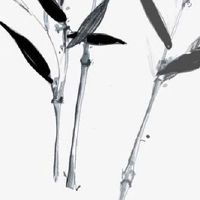 业障深重女人的十种表现 容易遇到灾劫