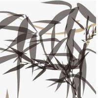 怎么样才能转运旺财 貔貅改运法