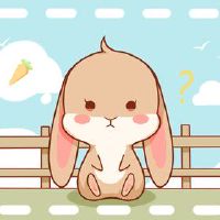 生肖兔在2022年事业运 有吉星兆命旺运势