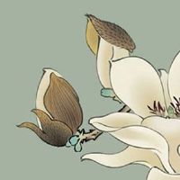 能嫁贵夫的女孩面相 下巴饱满能旺夫