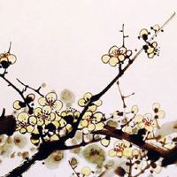 极贵帝王面相 极贵帝王面相什么意思