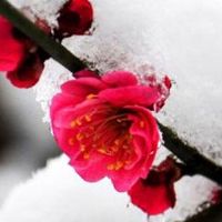 有钱的面相 耳大贴面富贵不愁